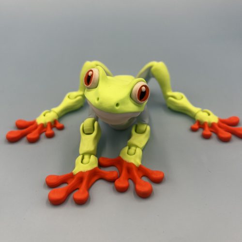 Tree Frog Fidget Toy 3d printed