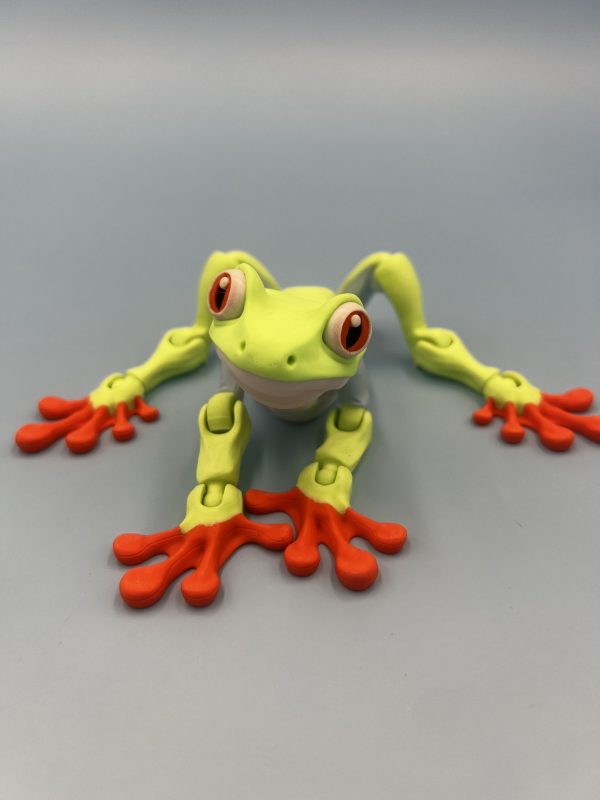 Tree Frog Fidget Toy 3d printed