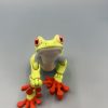 Tree Frog Fidget Toy 3d front view