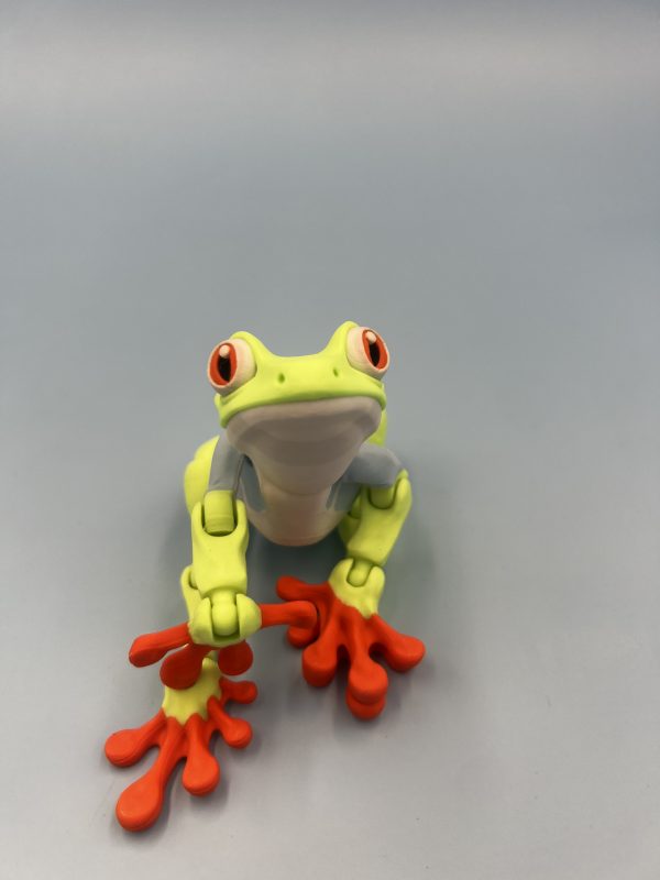 Tree Frog Fidget Toy 3d front view