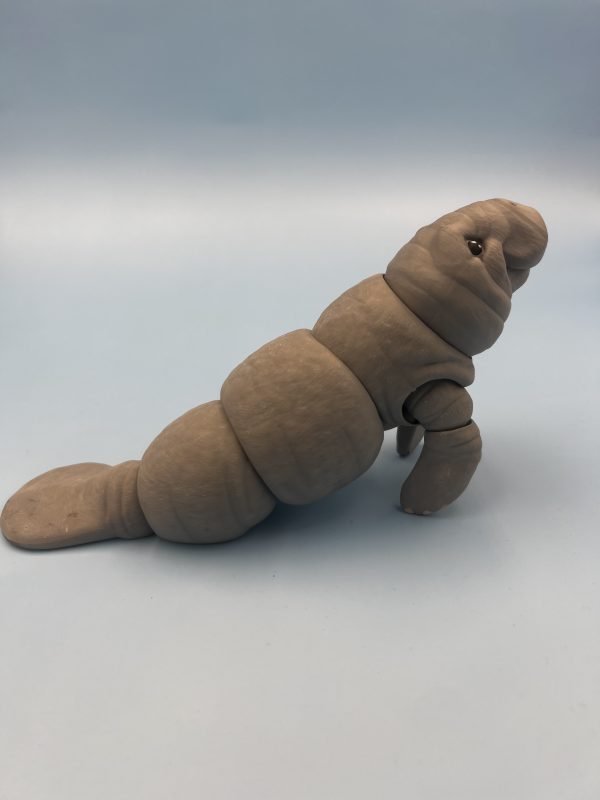 Manatee 3d printed articulated fidget toy