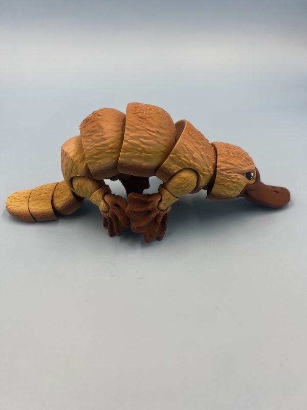 Platypus 3d printed articulated fidget toy